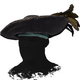Flibustier's Hat - armor icon from Windrose